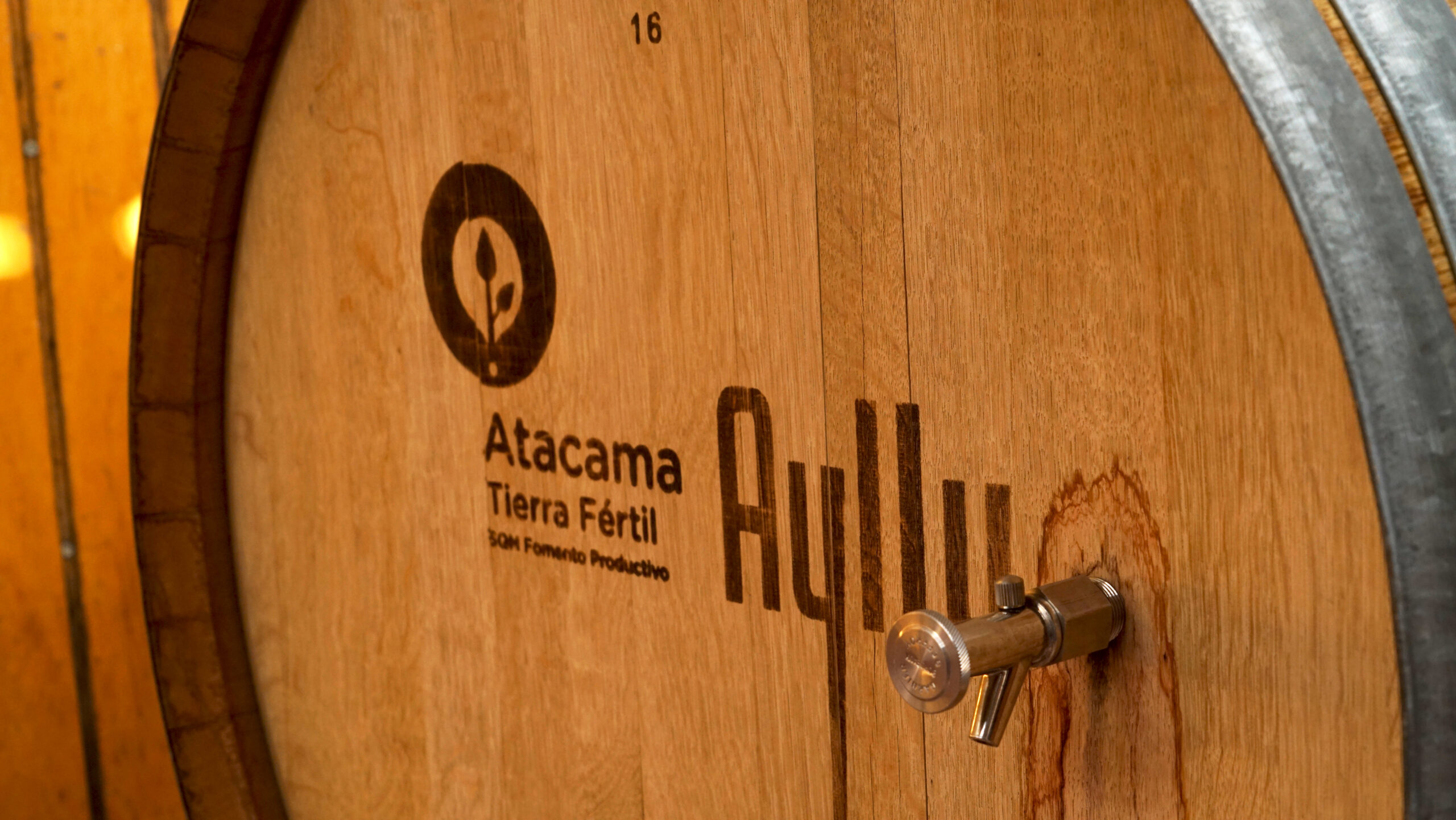 Viñateros del Salar de Atacama: Más de 10 años produciendo vino en condiciones extremas