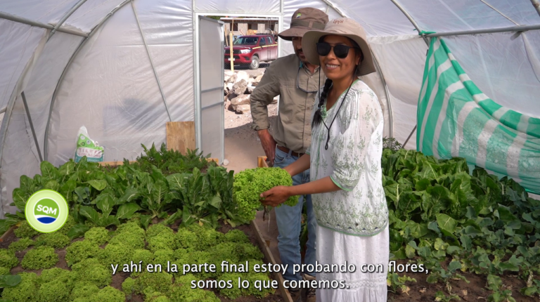 ¡Fomentando la agricultura local!