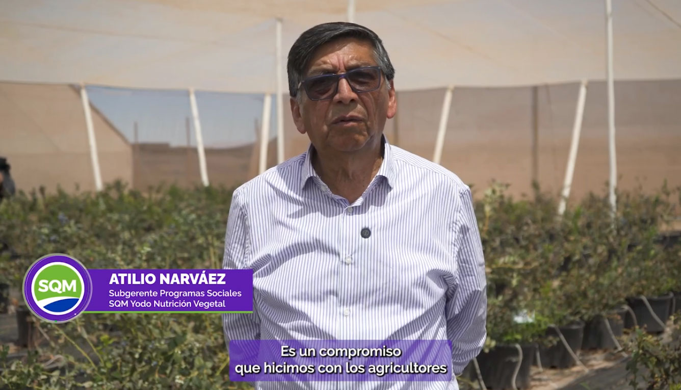 (Español) Inauguración Proyecto Piloto Arándanos en el Desierto