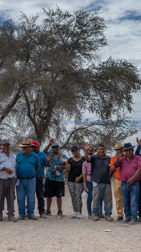 Ganaderos del Tamarugal fortalecen sus conocimientos en medicina veterinaria