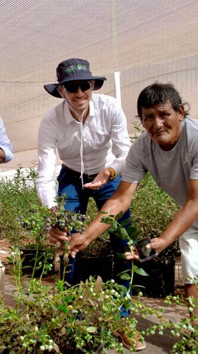 Fortaleciendo la Cadena de Valor Agroindustrial: Sugal Group visita nuestras operaciones y proyectos agrícolas en la Pampa del Tamarugal