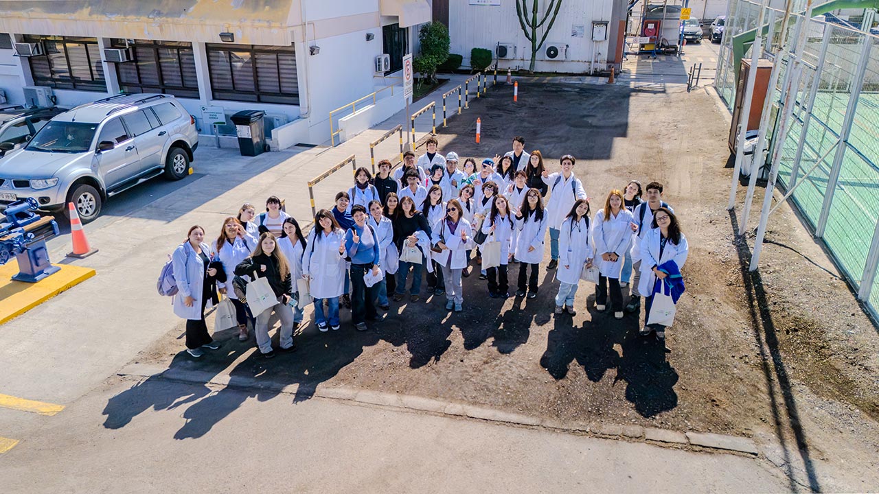 Estudiantes de la UCN conocieron en terreno el mundo de la química en SQM